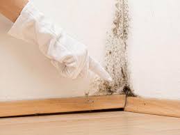 Mold Odor Removal Services in Metzger, OR